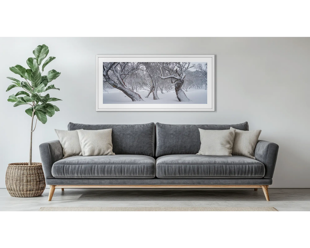 Family Twist. Old twisted snow gums in snow, wall art print in a white frame hung above a couch.