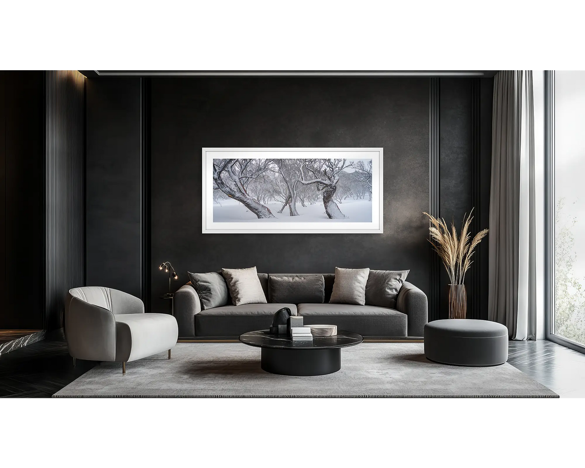 Family Twist. Old twisted snow gums in snow, wall art print in a white frame hung in a lounge room. 