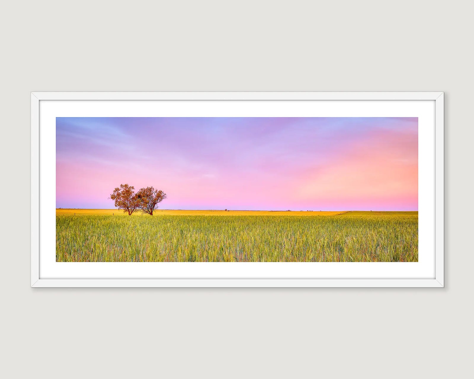 Framed wall art print of trees amongst crops and a sunset in a rural setting in Muthro. 