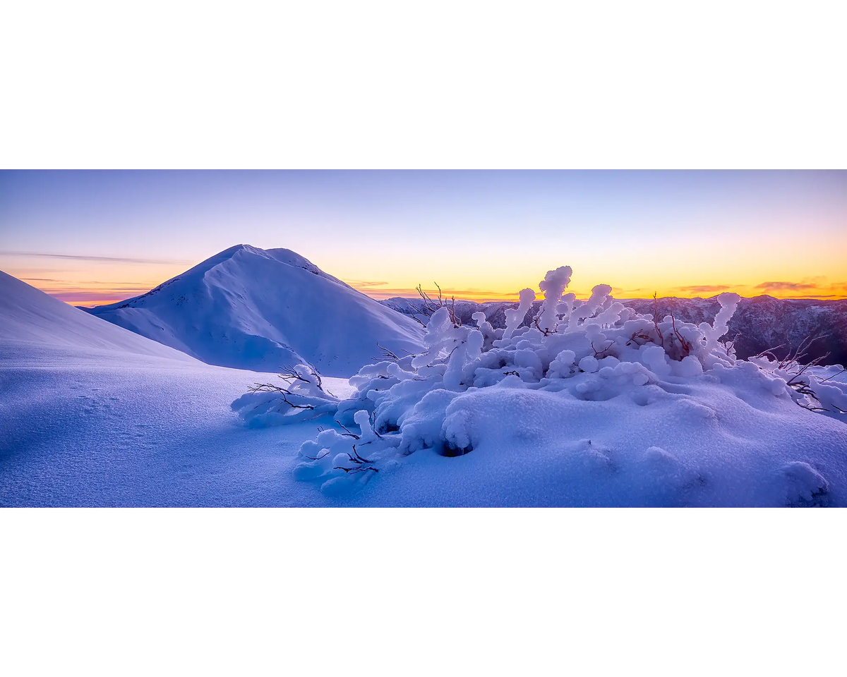 Feathertop Dawn, Sunrise Mount Feathertop, Alpine National Park, Victoria, Australia.