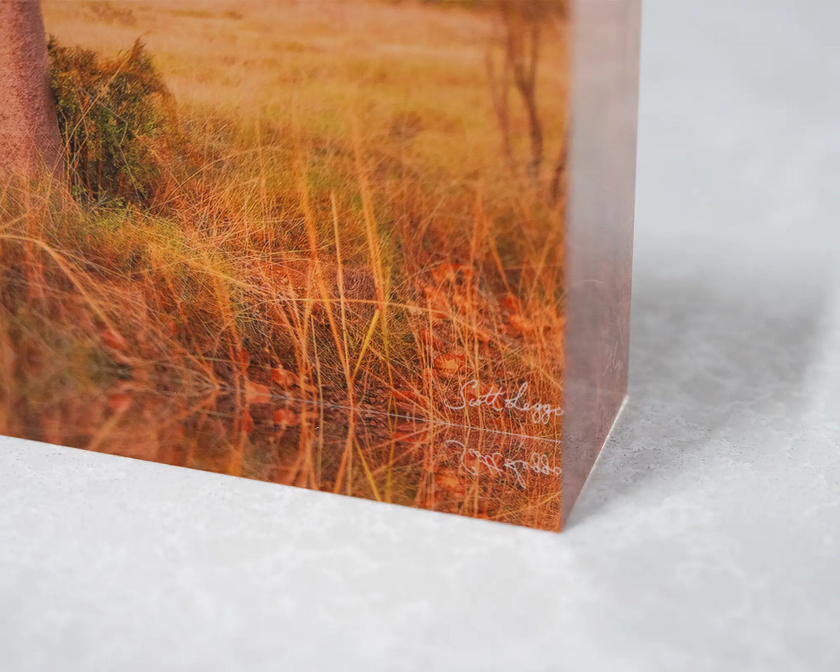 Figure. Acrylic block of a boab tree and Cockburn Ranges, Western Australia, close-up corner details.