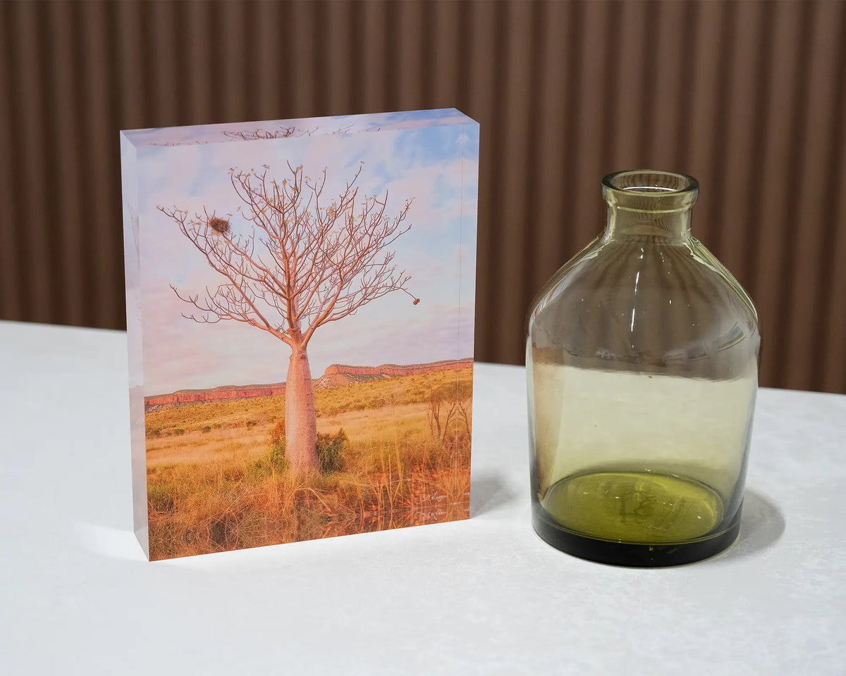 Figure. Acrylic block of a boab tree and Cockburn Ranges, Western Australia, on desk styled with a small vase.