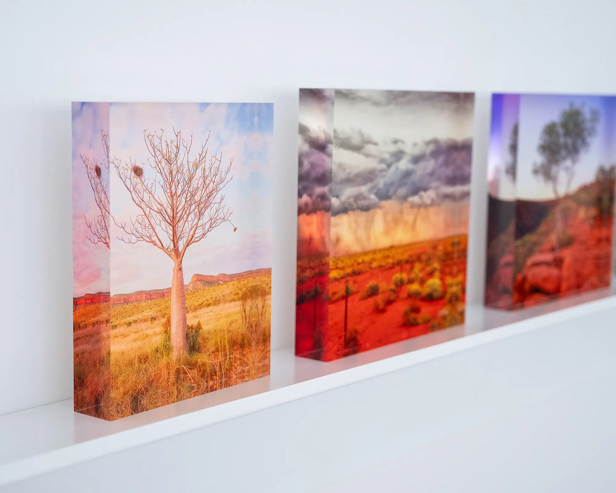 Figure. Acrylic block of a boab tree and Cockburn Ranges, Western Australia, on display in gallery with outback acrylic blocks.