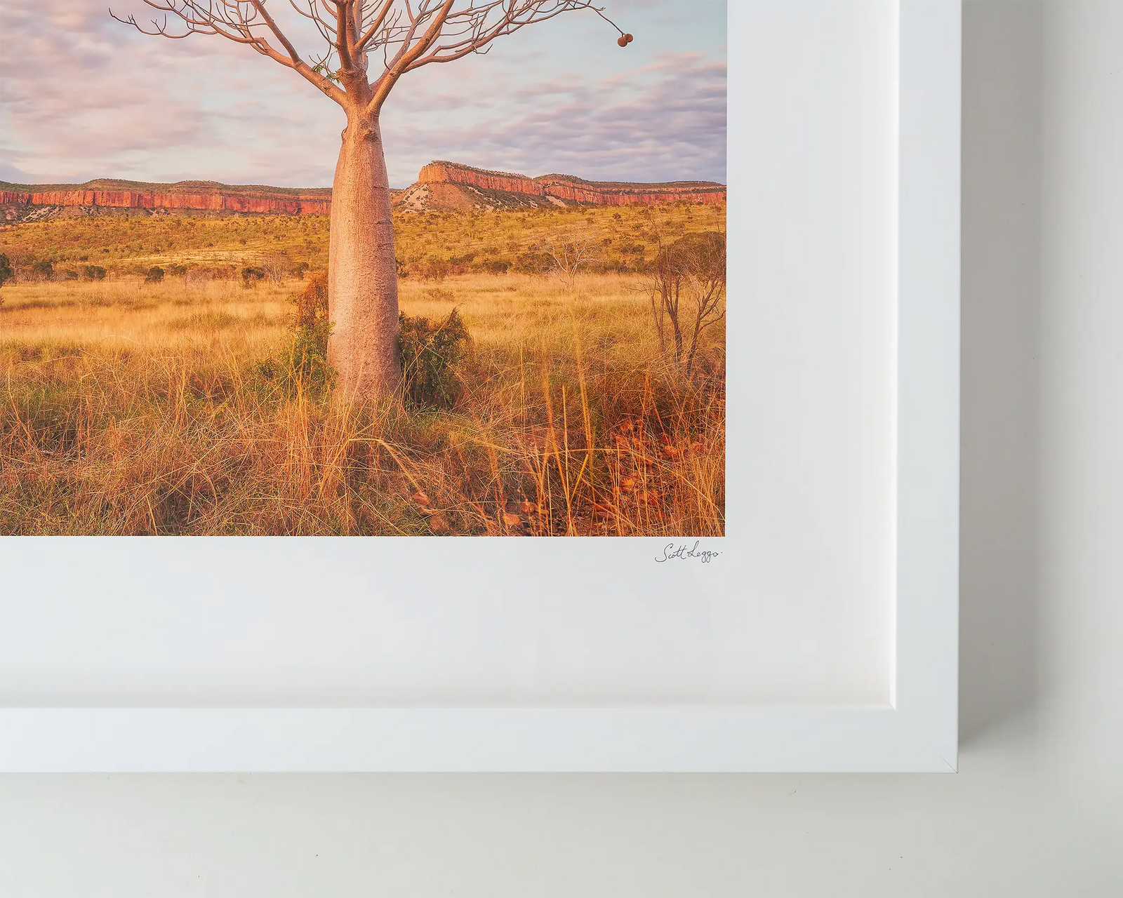 Framed artwork of a boab tree with a birds nest and a berry and the Cockburn Ranges on the horizon. 
