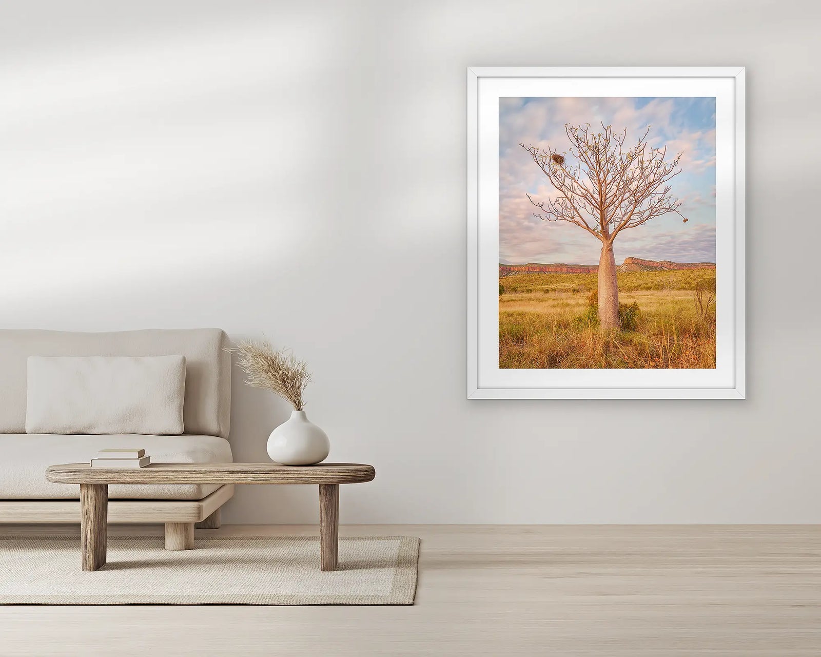 Boab tree at sunset with Cockburn Range in the background, The Kimberley, Western Australia.