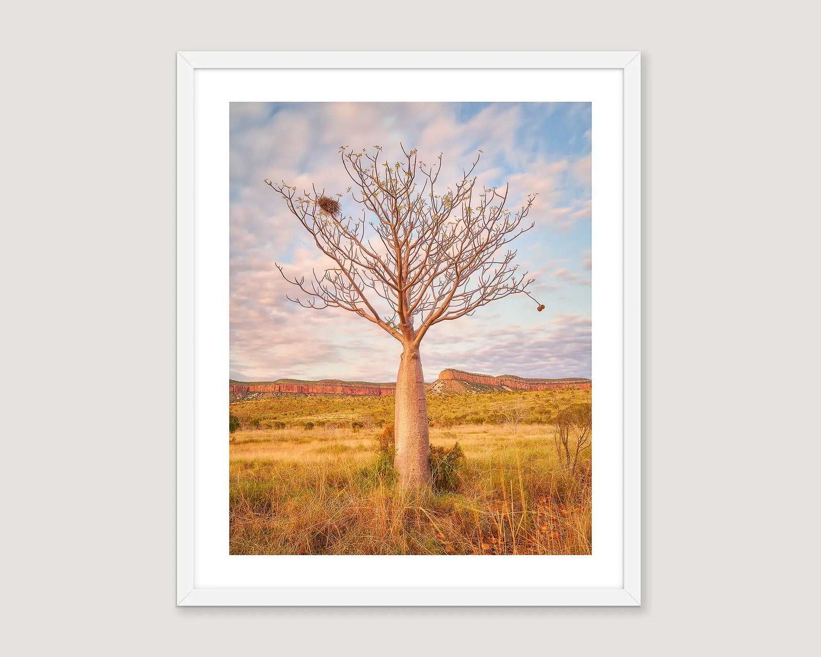 Framed artwork of a boab tree with a birds nest and a berry and the Cockburn Ranges on the horizon. 