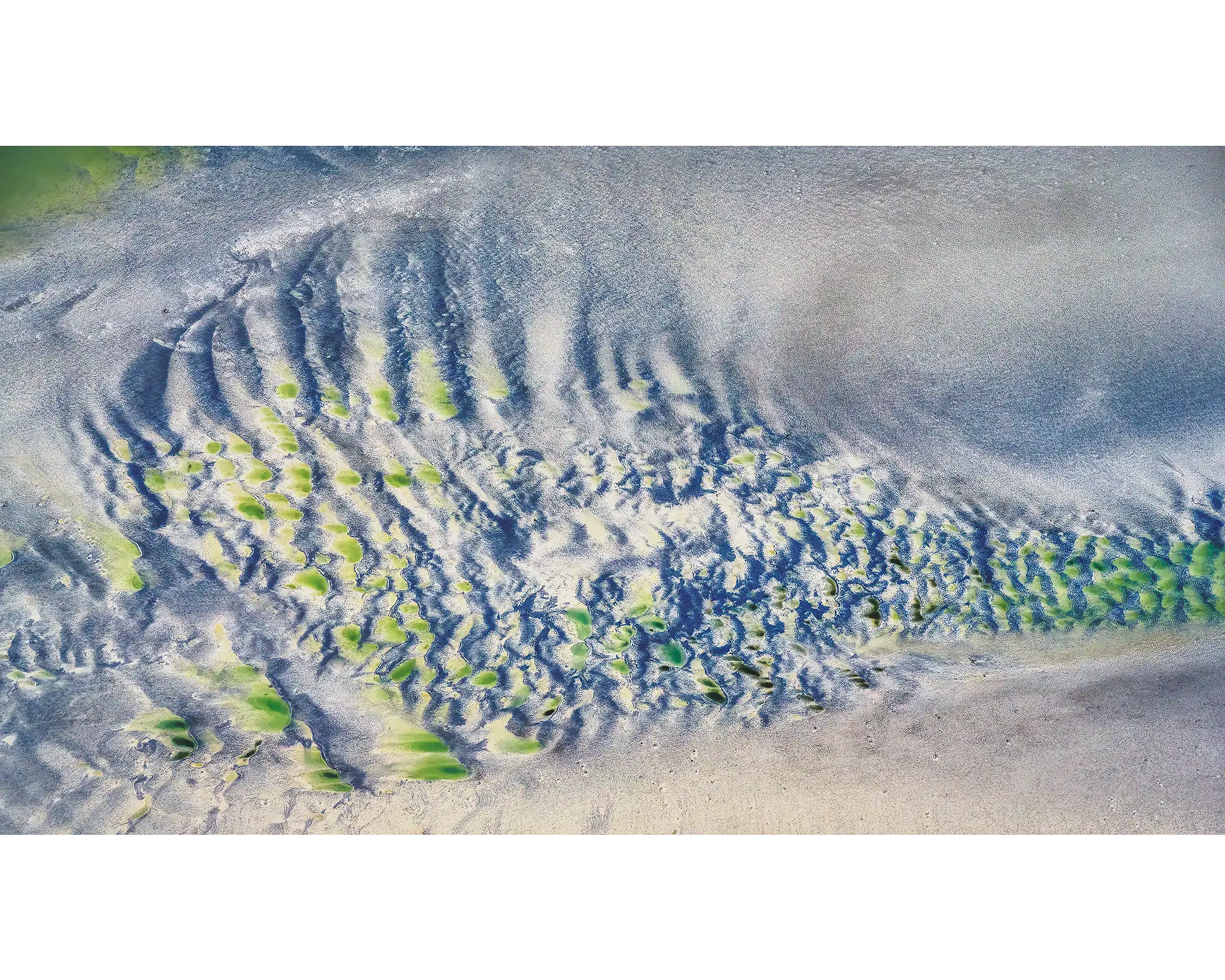 Fishbone. Tidal patterns in sand viewed from above Roebuck Bay, The Kimberley, Western Australia.