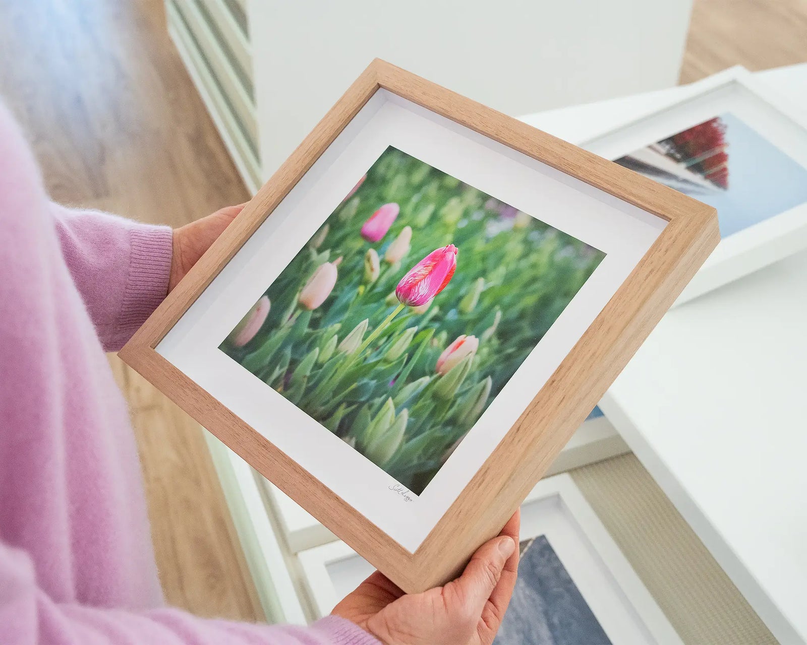 Framed photograph of pink tulips at Floriade. 