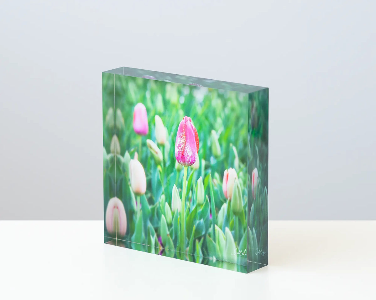 Floriade acrylic block on a table. 