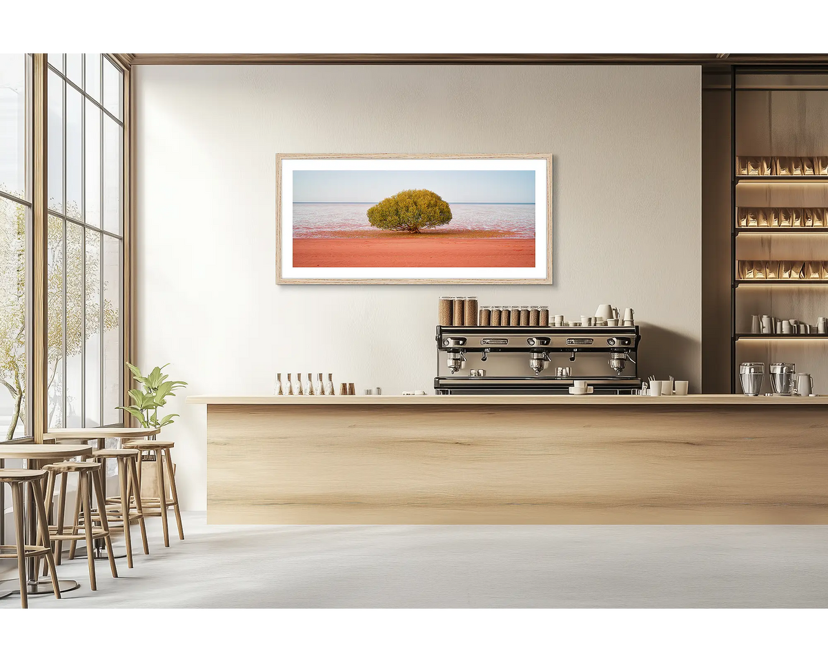 Focus. Broome Mangrove tree wall art print with a timber frame hung in a cafe. 
