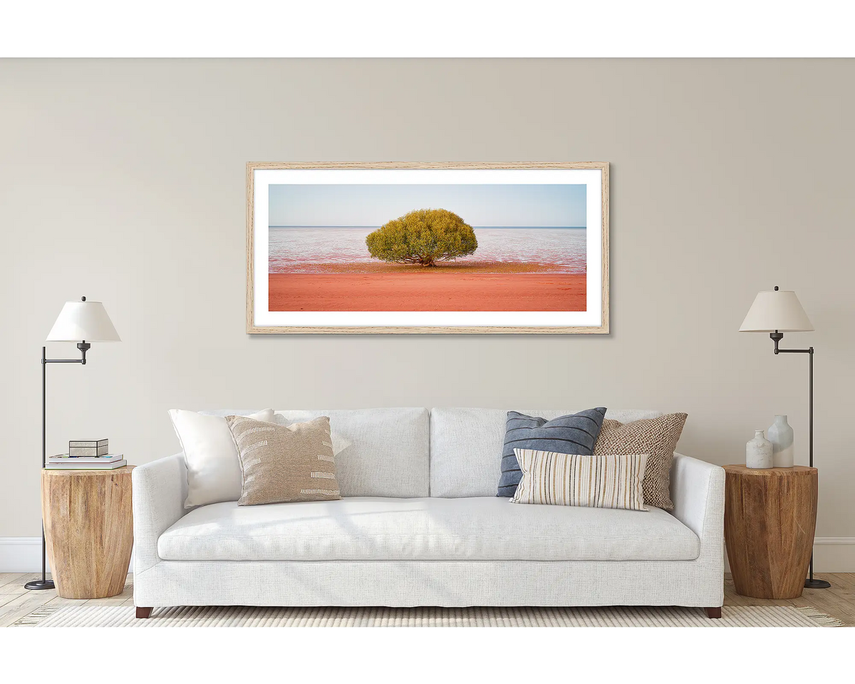 Focus. Wall art print of a Broome mangrove tree framed in a Tasmanian Oak frame, hung above a couch. 