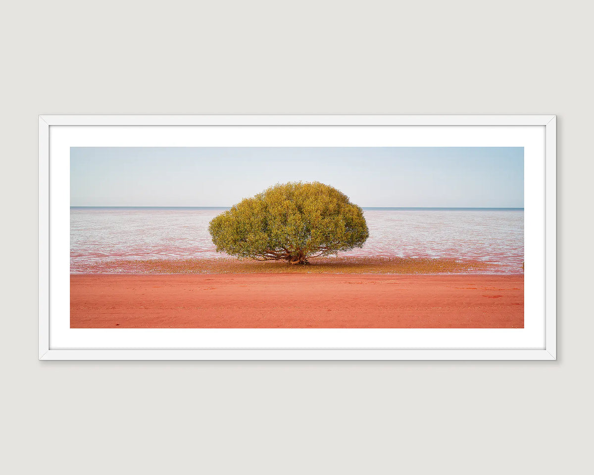 Framed artwork of red sand and the tide rising around a mangrove tree, Broome.  