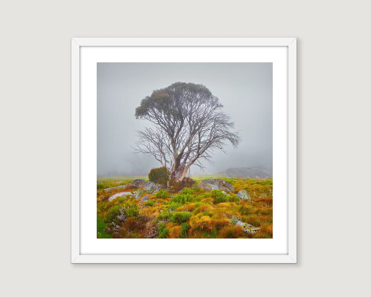 Framed wall art print of summer wildflowers and heath beneath a gum tree on the Bogong High Plains. 