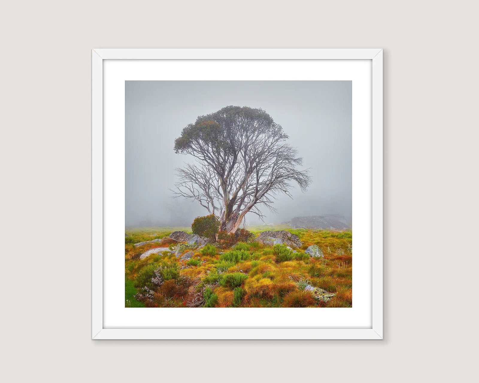 Framed wall art print of summer wildflowers and heath beneath a gum tree on the Bogong High Plains. 