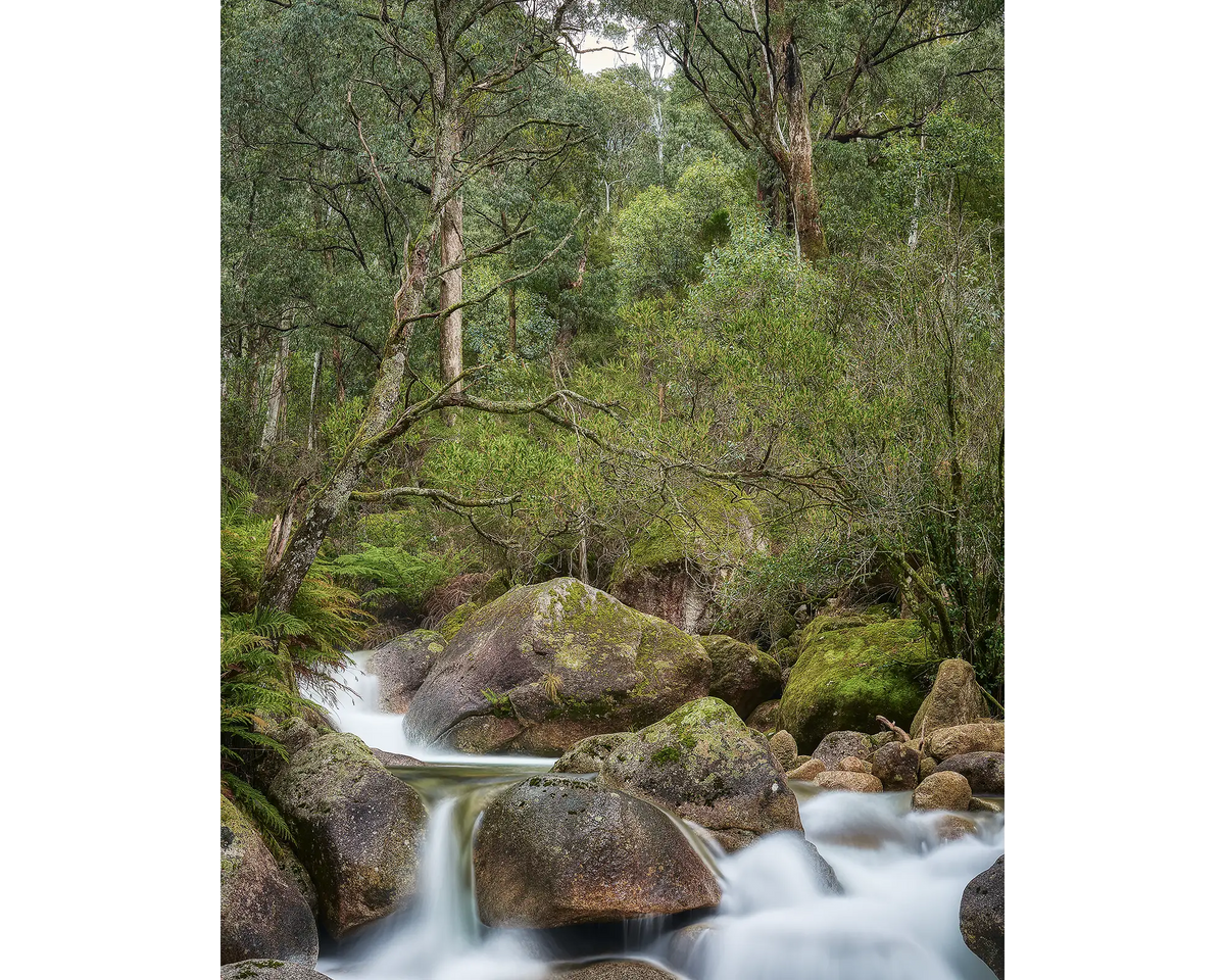 Forest Falls. Waterfall over rocks in Mount Buffalo National Park, Victoria.