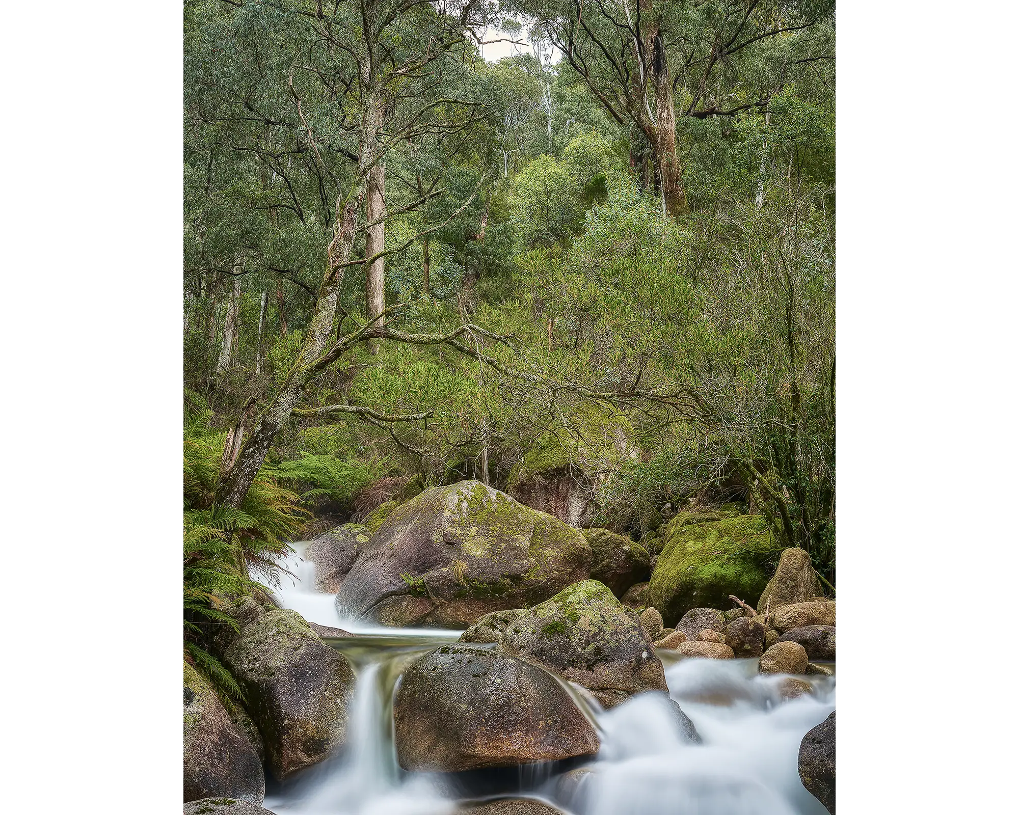 Forest Falls. Waterfall over rocks in Mount Buffalo National Park, Victoria.