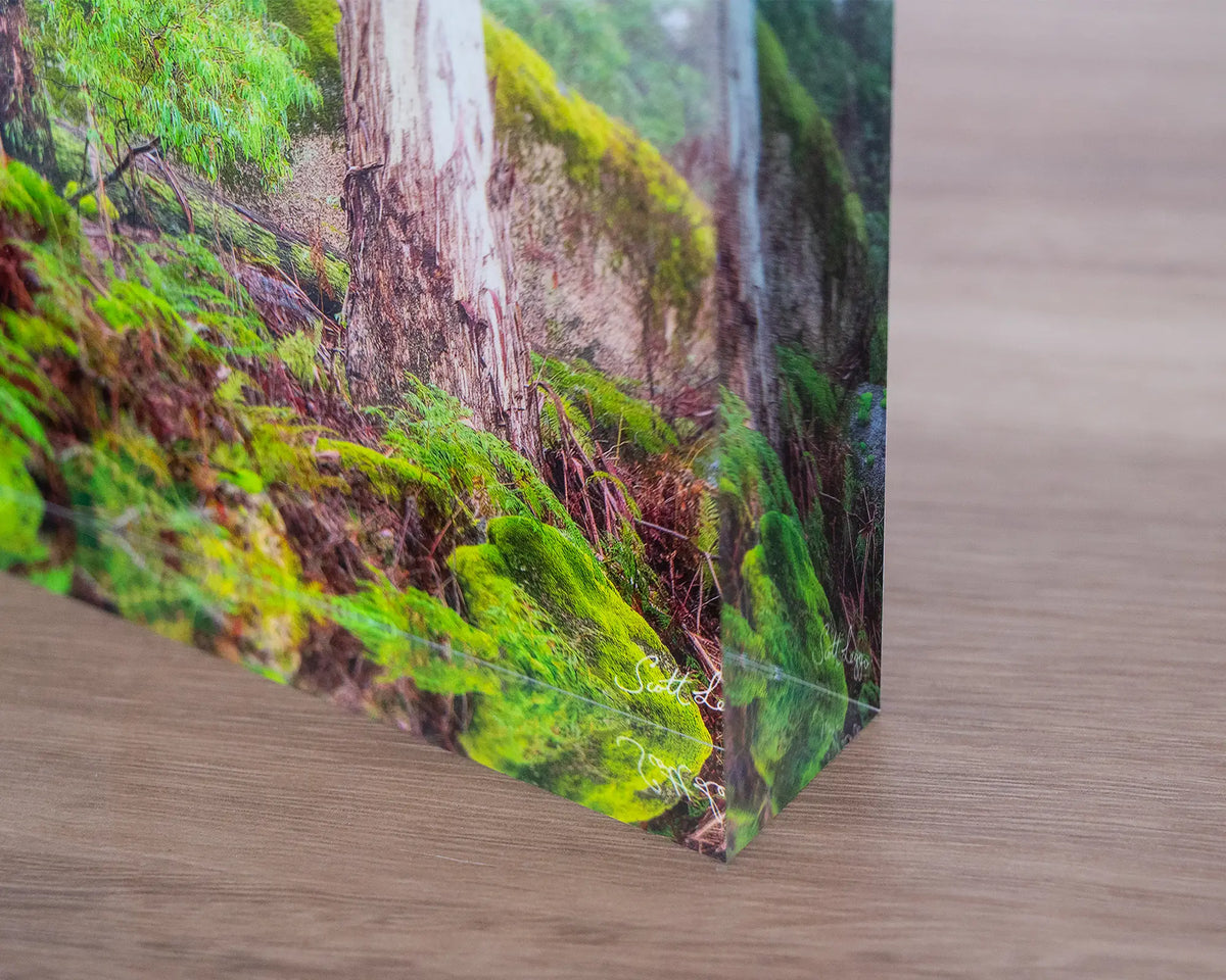Forest Friends. Acrylic block of trees in fog, Mount Buffalo National Park, corner close-up details.