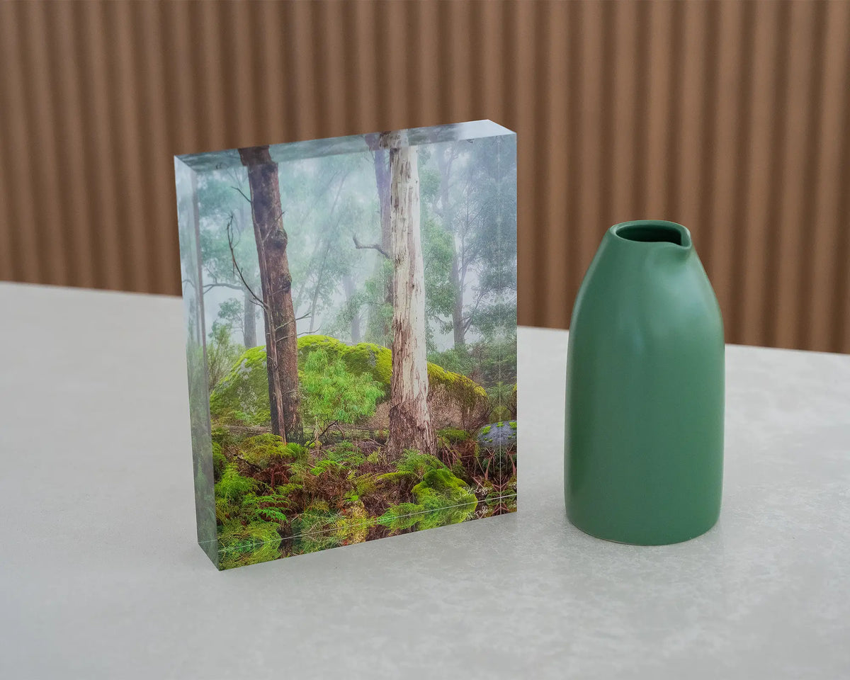 Forest Friends. Acrylic block of trees in fog Mount Buffalo National Park, on desk styled with a small vase.