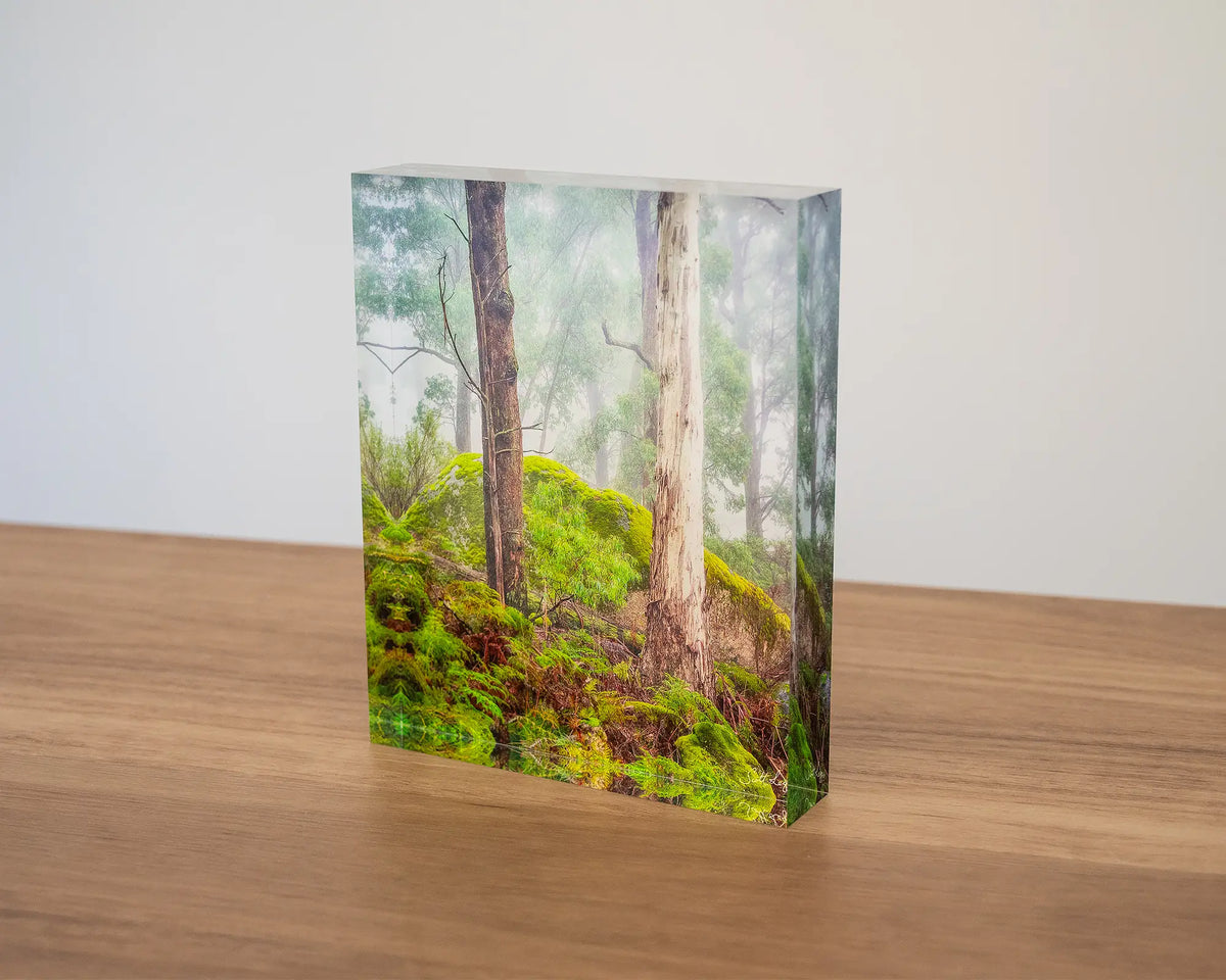 Forest Friends. Acrylic block of trees in fog, Mount Buffalo National Park, sitting on a desk.