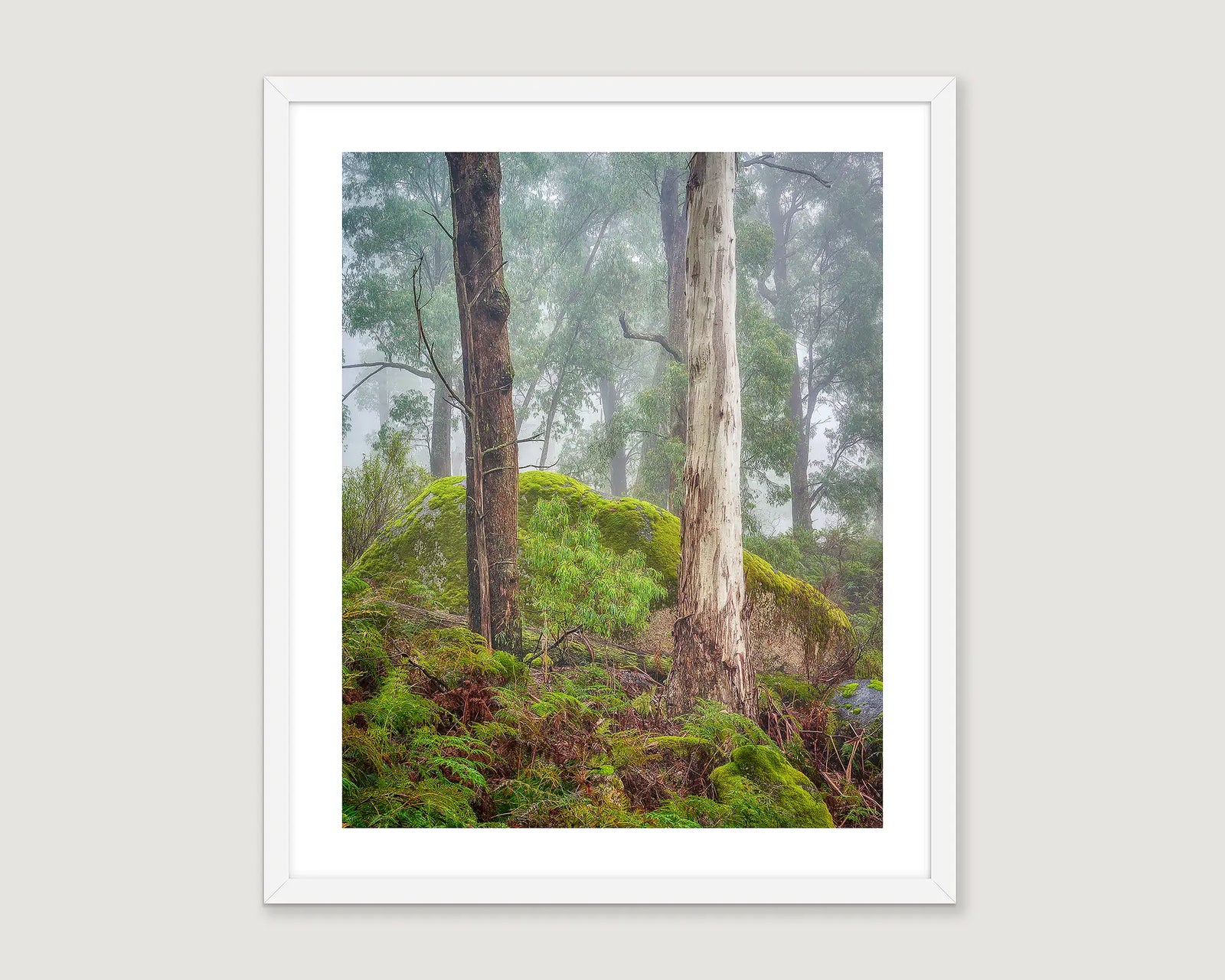 Framed photographic print of a forest scene with tall trees, mossy rocks and foggy atmosphere, on Mount Buffalo. 