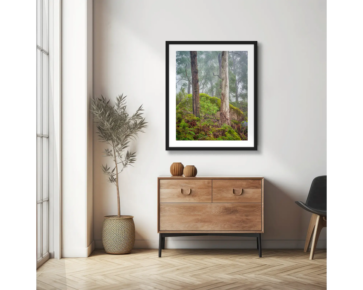 Forest Friends. Mount Buffalo trees, photographic wall art print with a black frame, hung in a scandi hallway. 