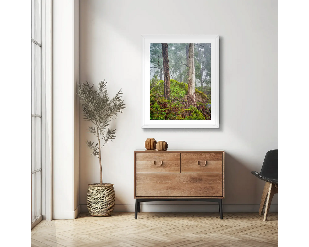 Forest Friends. Mount Buffalo trees, photographic wall art print with a white frame, hung in a scandi hallway. 