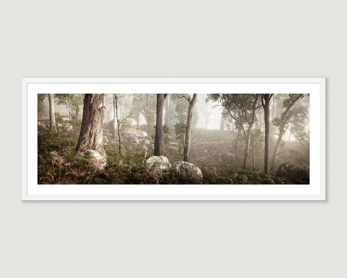 Framed photographic print of the bush in fog with granite boulders and gum trees, on Mount Buffalo. 