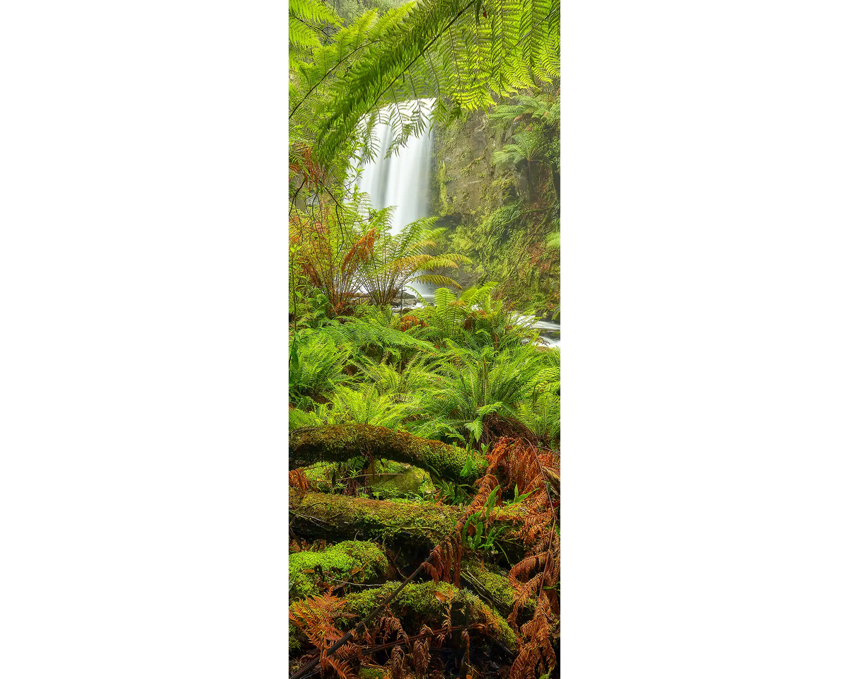 Forest Magic. Hopetoun Falls waterfall, Great Otway National Park, Vicotria, Australia.