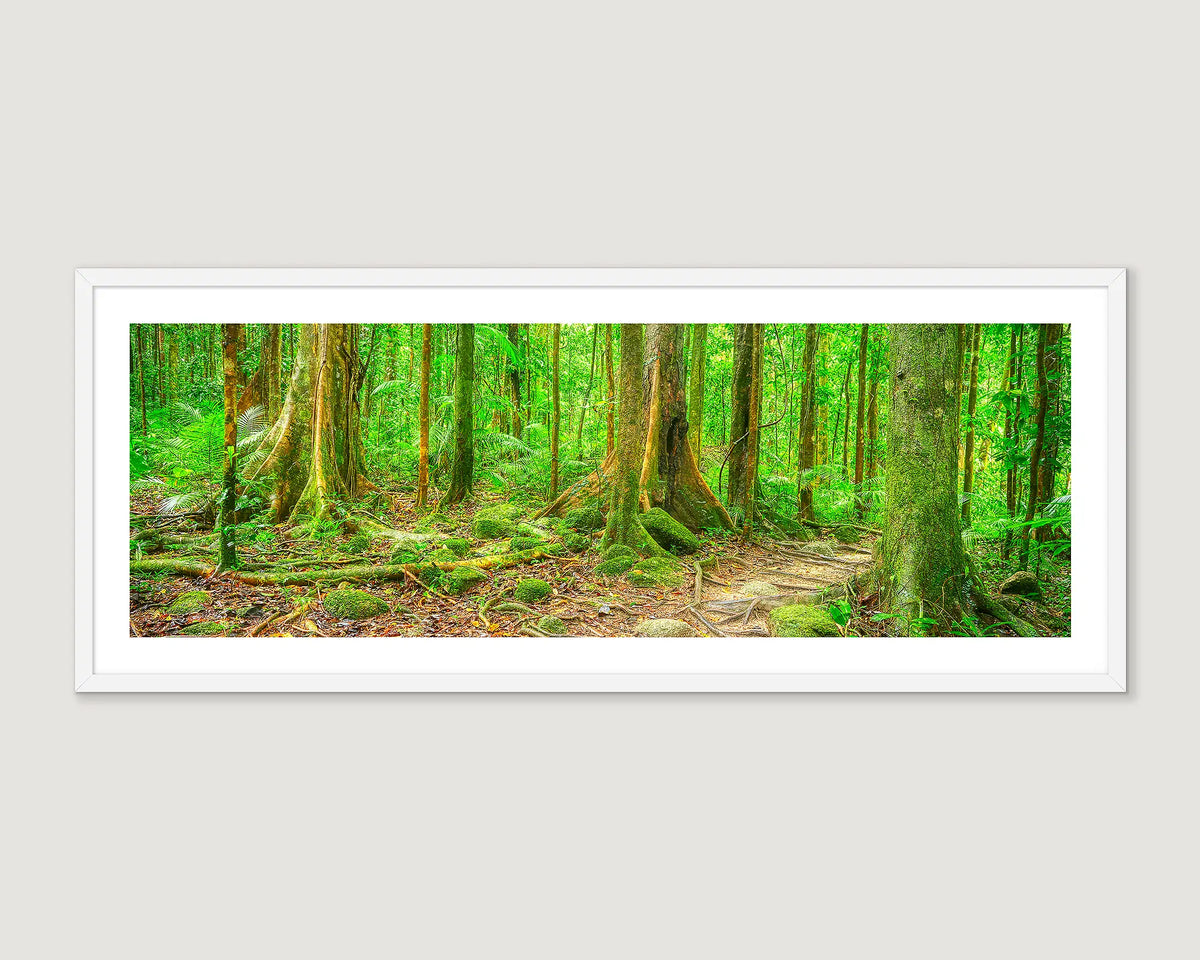 Framed photograph of a path leading through a forest.