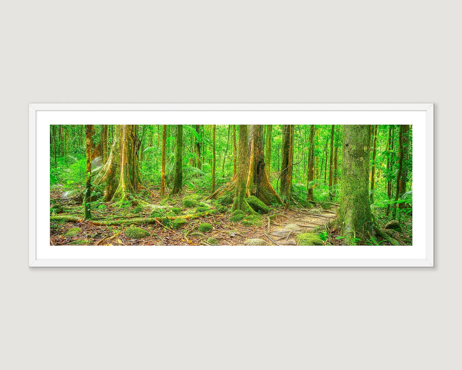 Framed photograph of a path leading through a forest.