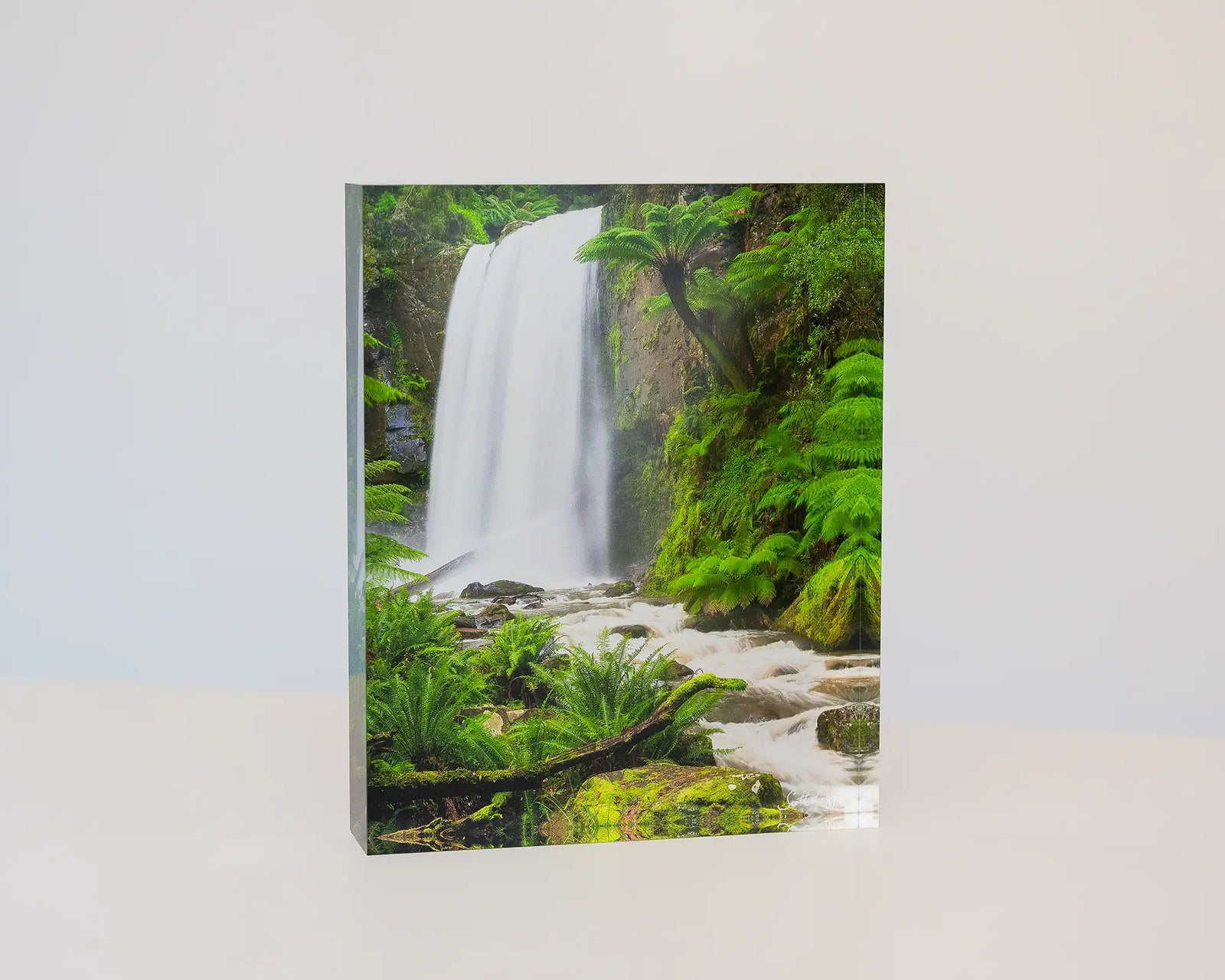 Forest Veil. Acrylic block of Hopetoun Falls, Great Otway National Park, Victoria.
