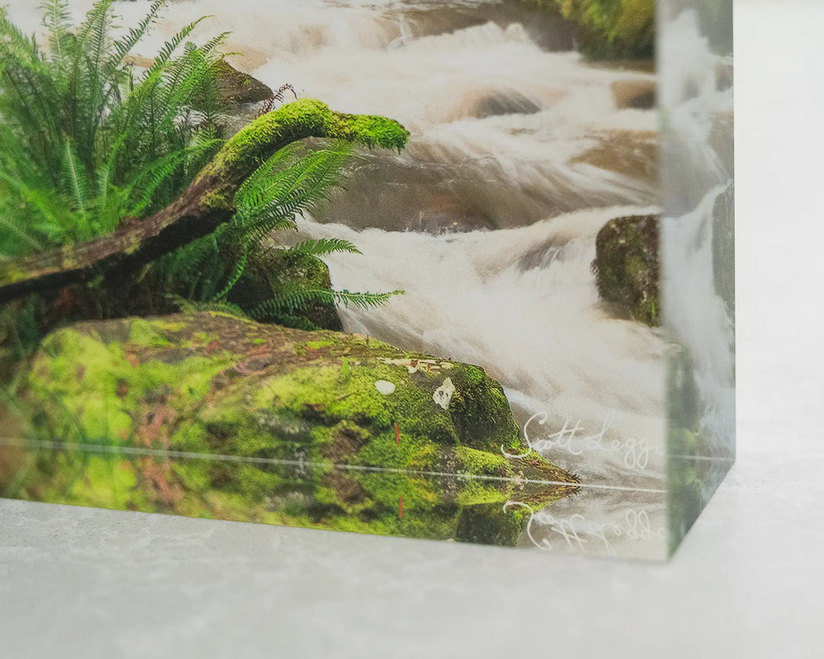 Forest Veil. Acrylic block Hopetoun Falls Victoria, close-up corner.