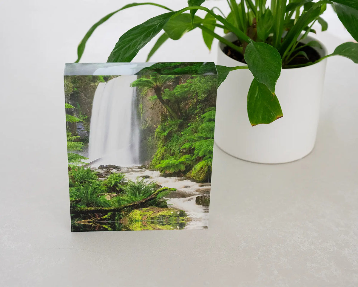 Forest Veil. Acrylic block Hopetoun Falls Victoria, on desk with pot plant.