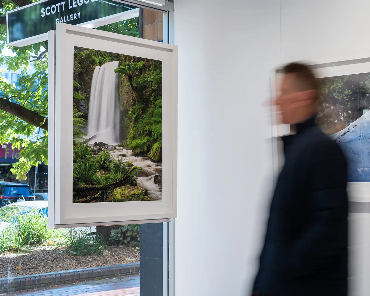 Forest Veil. Hopetoun Falls, Great Otway National Park, in gallery window with person walking beside.
