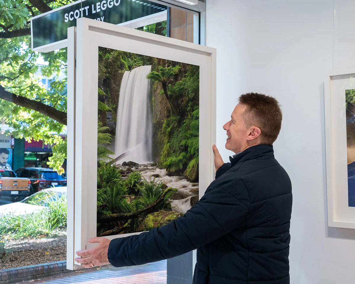 Forest Veil. Hopetoun Falls, Great Otway National Park, Victoria, being hung in Canberra gallery window.