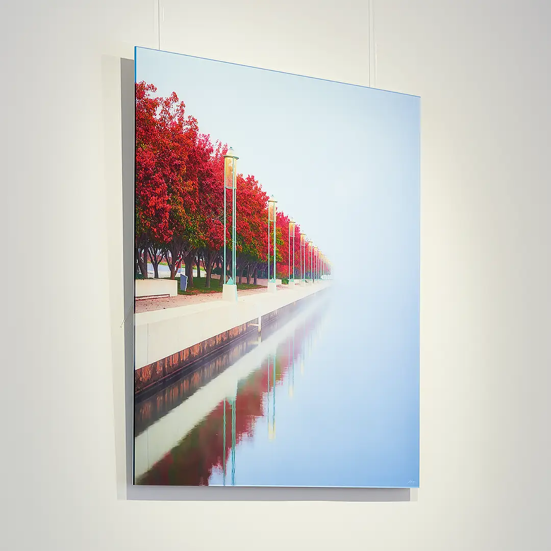 Frameless Acrylic Wall Art Print of a Red Row of Tress Canberra.