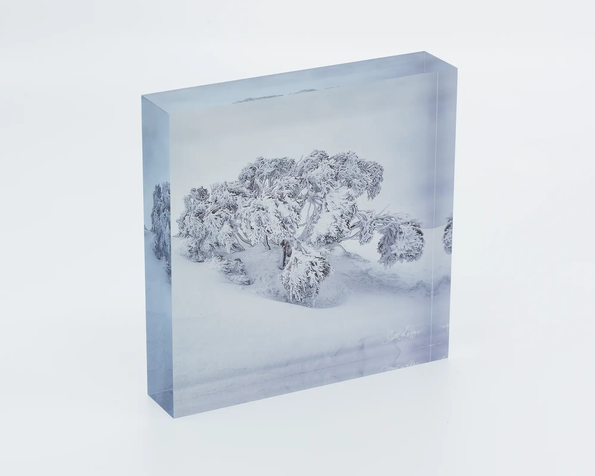 Frozen - Acrylic block snow in snow artwork.