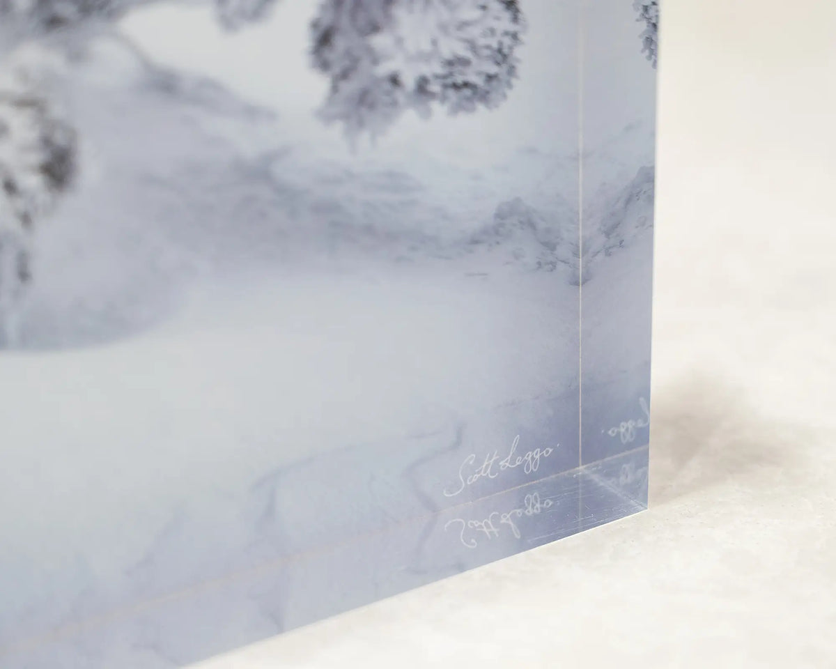 Frozen. Acrylic block of a snow gum in snow, corner close-up detail.