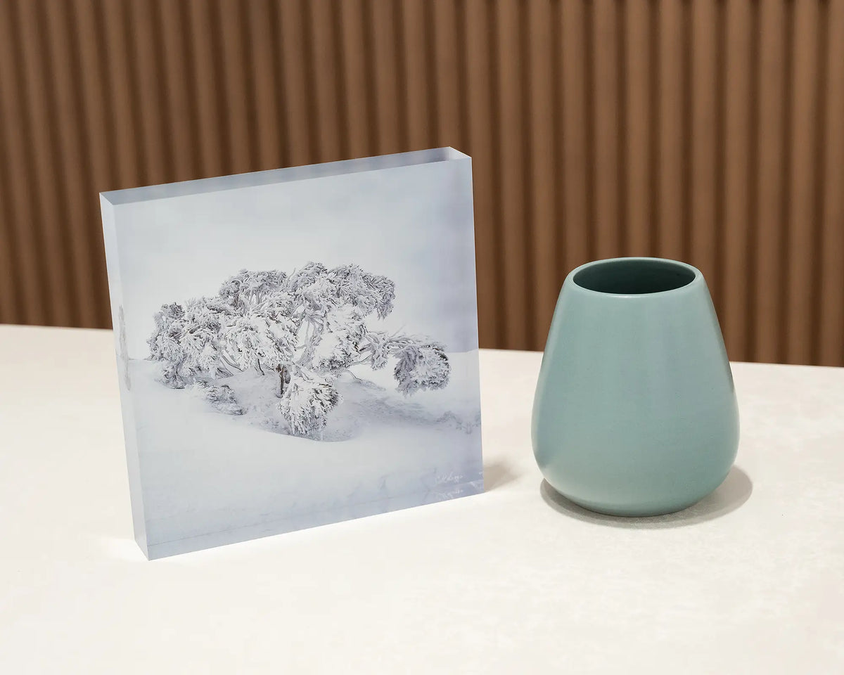 Frozen. Acrylic block of a snow gum in snow, Mount Hotham, on desk styled with a small vase.