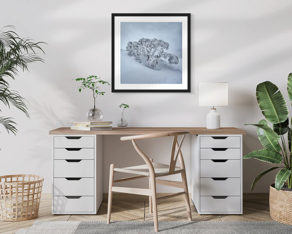 Frozen. Snow gum, photographic wall art print with a black frame, hung in a home office. 