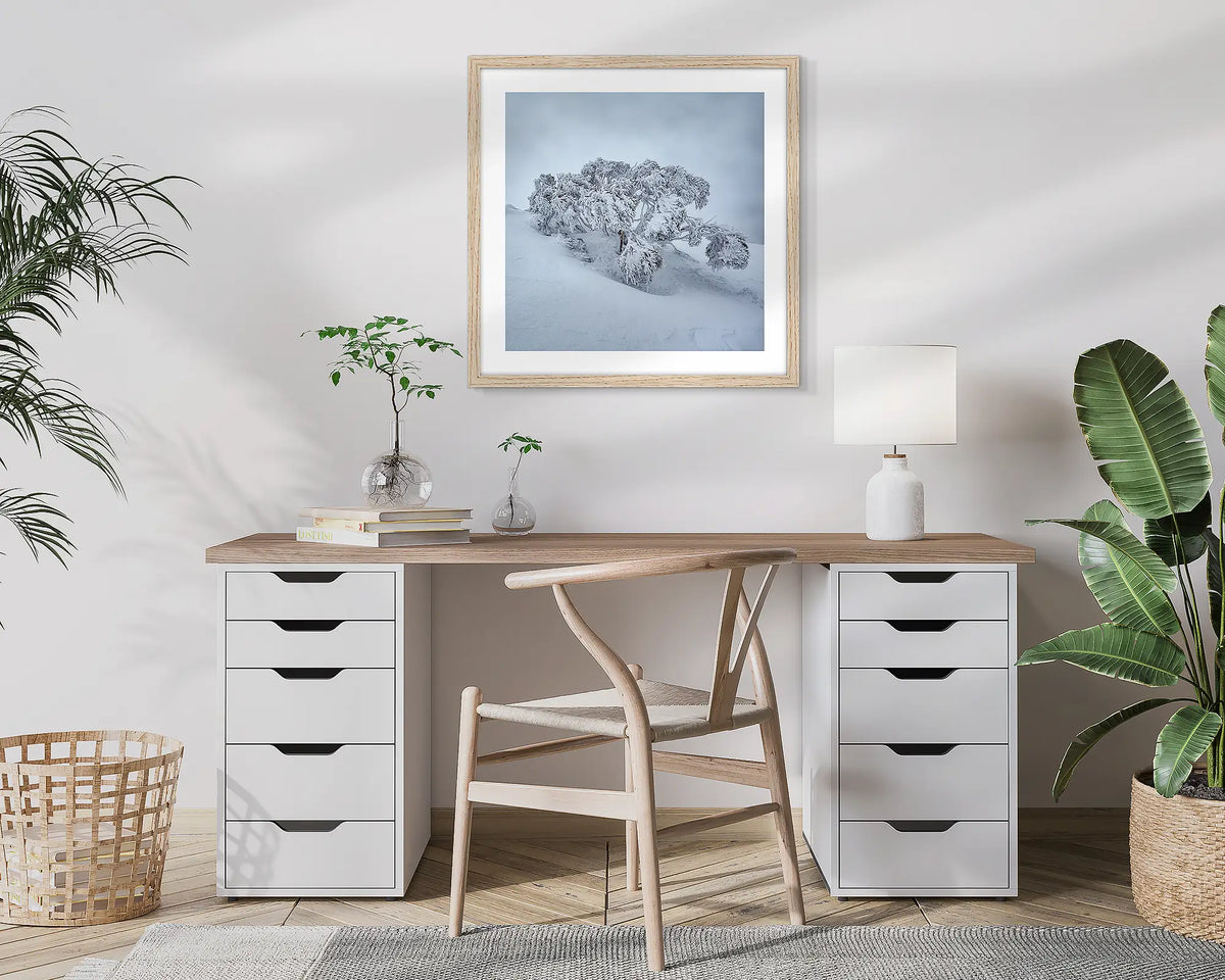 Frozen. Snow gum, photographic wall art print with a Tassie Oak frame, hung in a home office. 