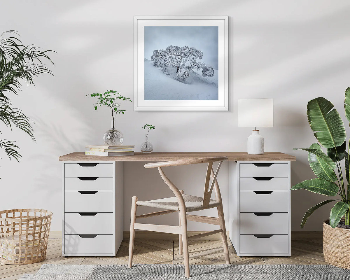 Frozen. Snow gum, photographic wall art print with a white frame, hung in a home office. 