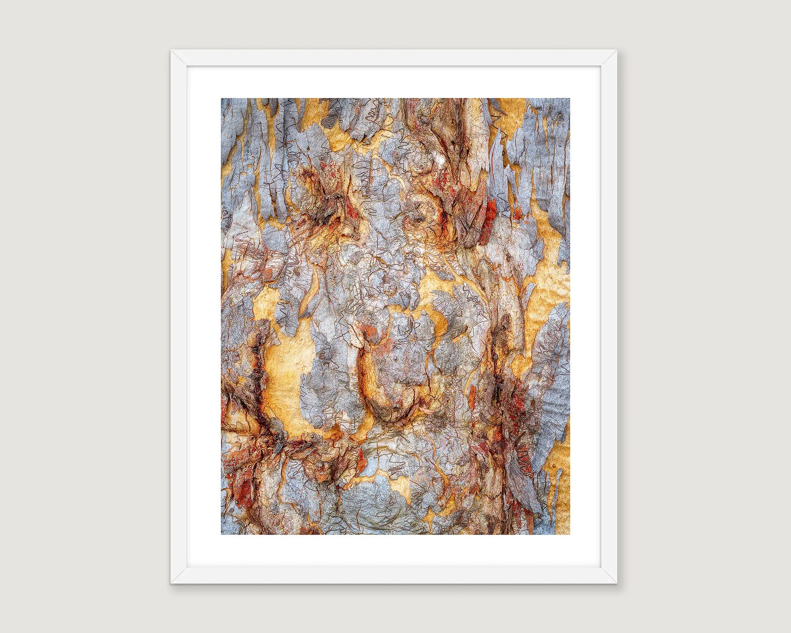 Framed abstract wall art print of tree bark on Mount Ainslie. 