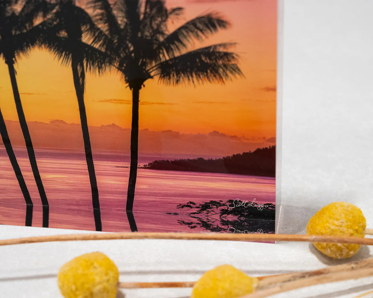 Getaway. Acrylic block of palm trees at sunset, Hamilton Island Queensland, close-up corner details with yellow flowers in foreground.