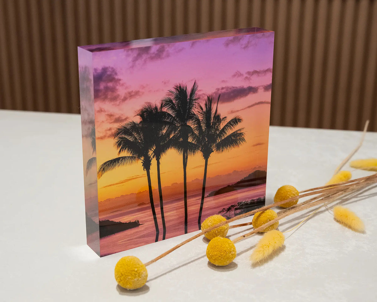 Getaway. Acrylic block of palm trees at sunset, Hamilton Island Queensland, styled with yellow flowers.