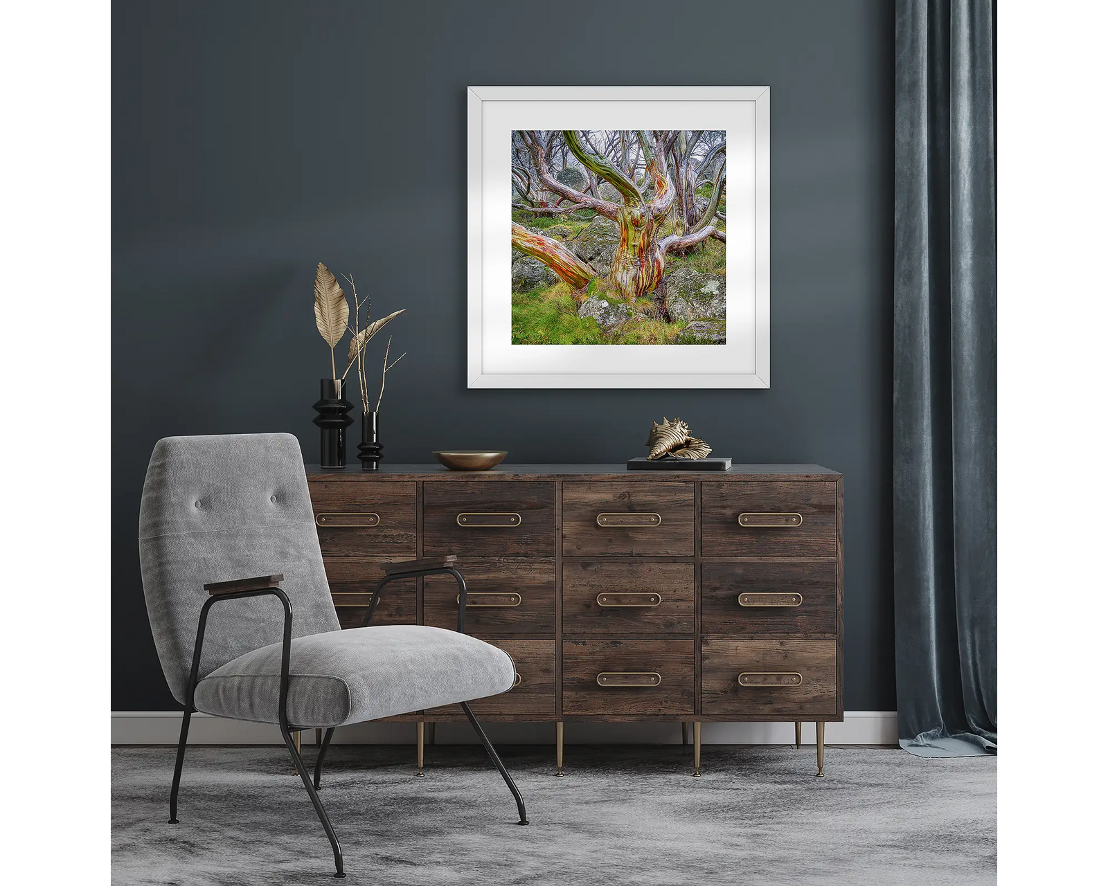 Framed photograph of a twisted snow gum with colourful bark, amongst mossy rocks in the Kosciuszko National Park. 