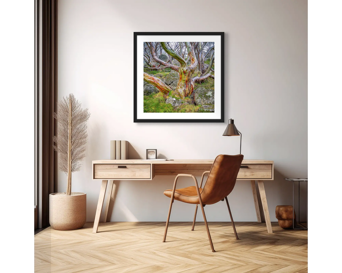 Gnarled. Snow Gum photographic wall art print with a black frame, hung above a scandi office desk. 