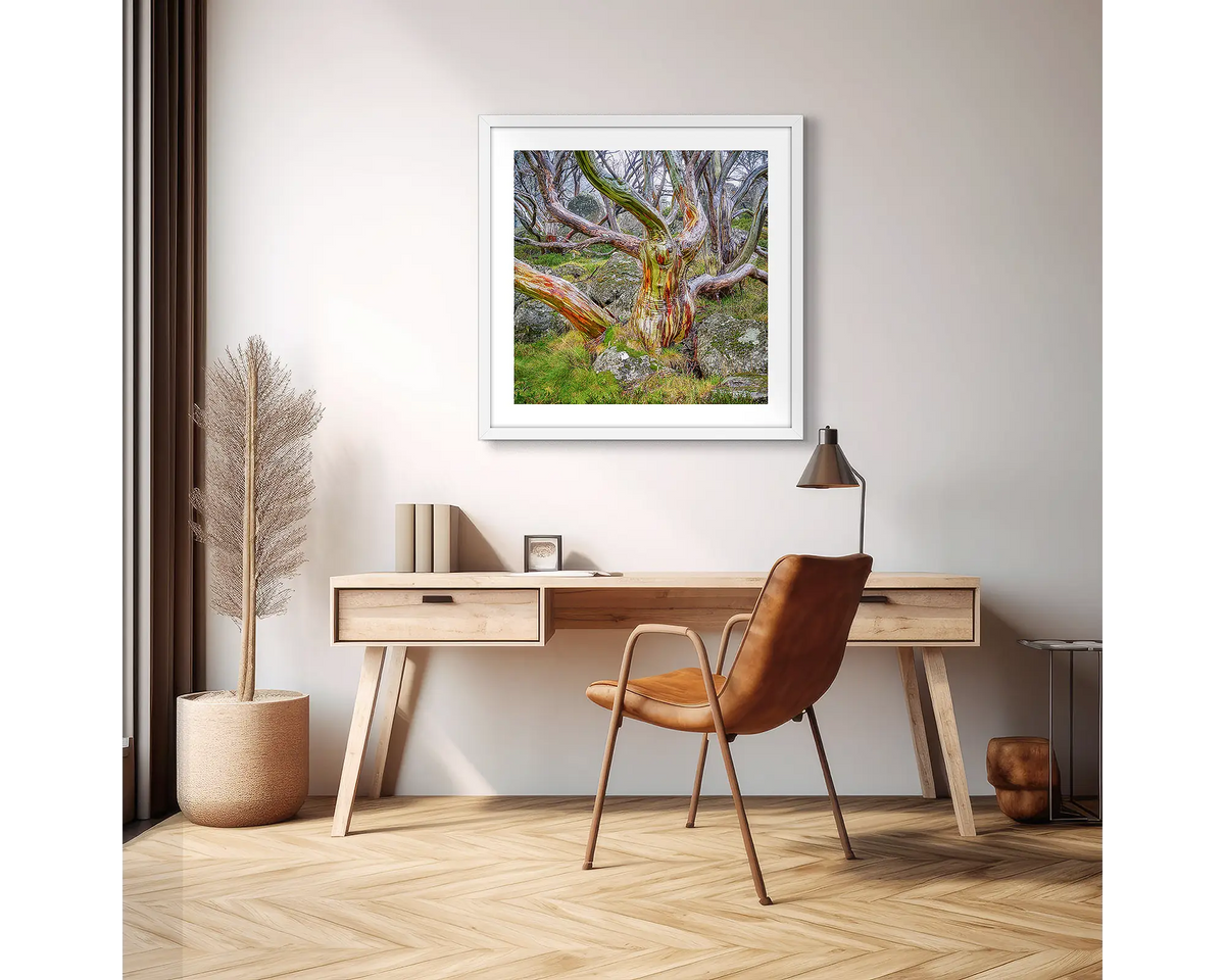 Gnarled. Snow Gum photographic wall art print with a white frame, hung above a scandi office desk. 