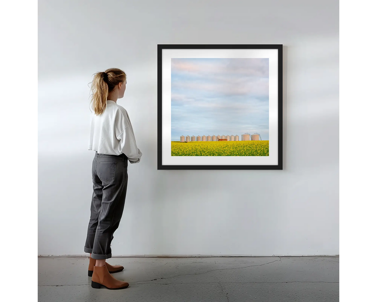 Golden Silos. Wall art print with black frame featuring canola fields and silos, hung on a wall with woman admiring.