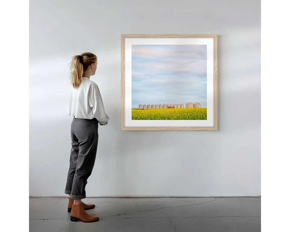 Golden Silos. Wall art print with timber frame featuring canola fields and silos, hung on a wall with woman admiring.